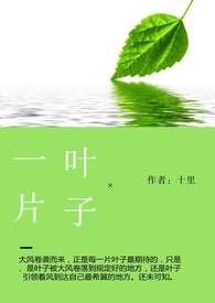 电影一片叶子