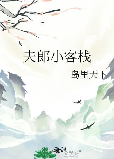 夫郎客栈岛里天才txt