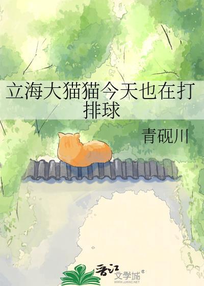 立海大猫猫今天也在打排球免费观看