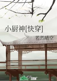 小厨神(快穿)