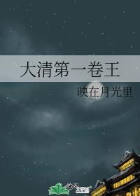 大清王朝极简史(合辑)