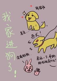 我家进狗了