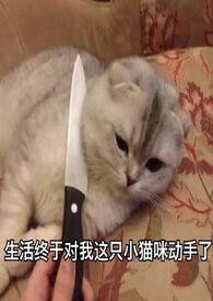 旧爱不敌新欢