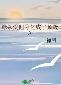 绿茶受他分化成了顶级A穿书禅酒