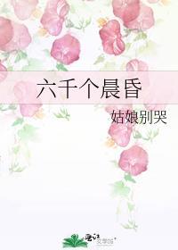 六千个晨昏讲的什么故事