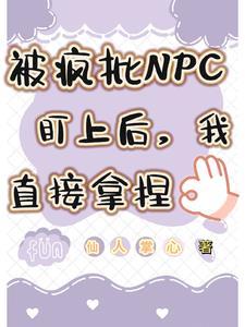 被npc头子看上后我炸了系统剧透