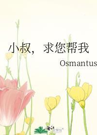 小叔给我好不好