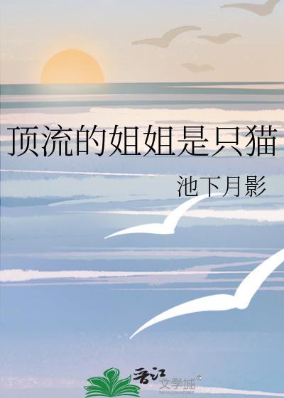 顶流的姐姐是只猫307页