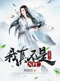我真不是NPC免费