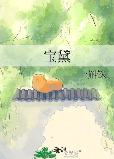 宝黛名媛女包