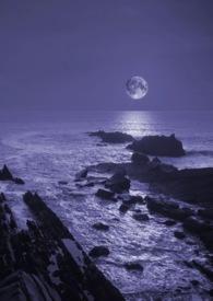 暗夜全本阅读
