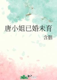 唐小姐已婚未育免费阅读