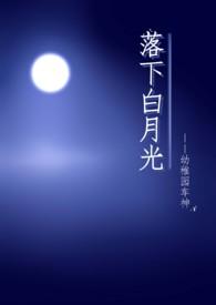落下白月光 讲什么