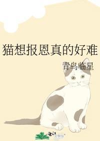 失忆娱乐圈