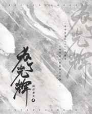 为了光辉txt