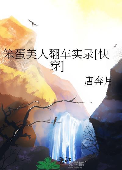 笨蛋 美人