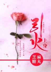 引火上身在线阅读全文