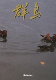 群鸟齐飞的诗句