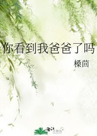 爸爸你看到了吗歌词
