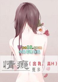 情瘾夏布