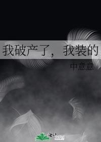 我破产了我装的阅读