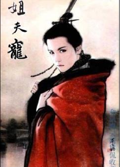 姐夫宠 菠萝笔记