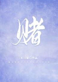 赌石