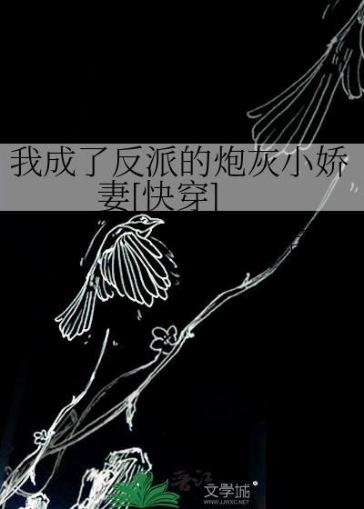 我成了反派的挂件免费阅读