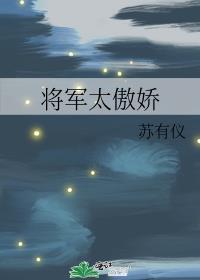 傲娇的将军夫人