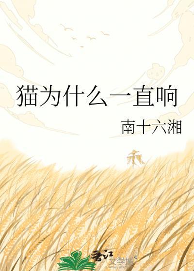 猫为什么一直响是什么意思