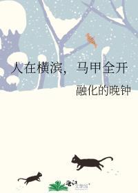 马甲全开txt