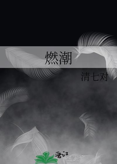 燃潮txt