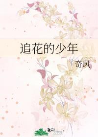 追花的少年奇风
