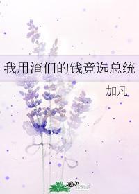我用渣们的钱竞选总统txt
