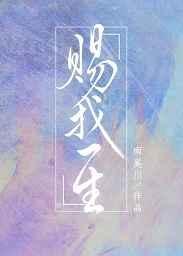 赐我一生无防盗