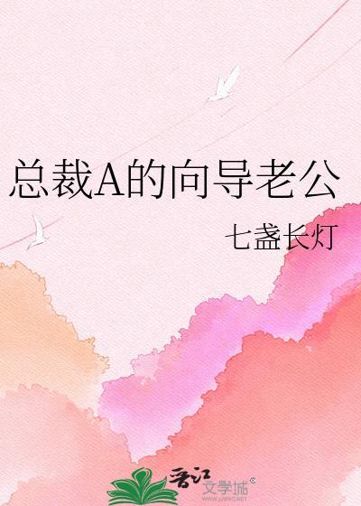 总裁老公aa制