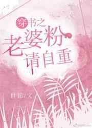 老婆粉免费阅读全文