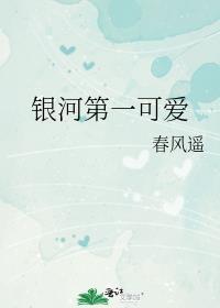 银河第一秩序