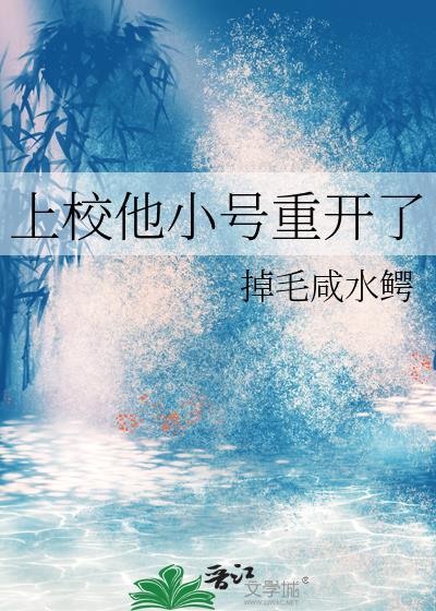 书名上校的小夫人