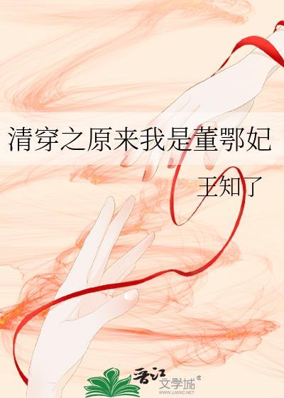 清穿之董鄂妃