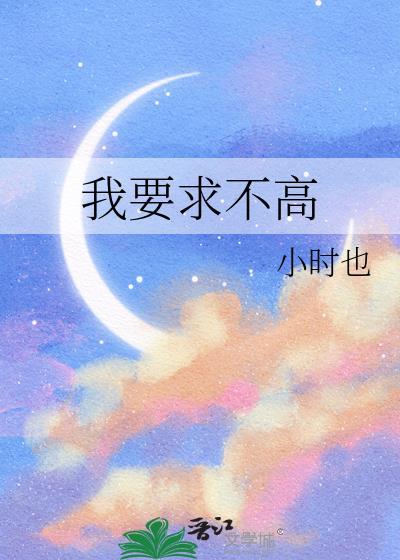 我要求不高讲的什么
