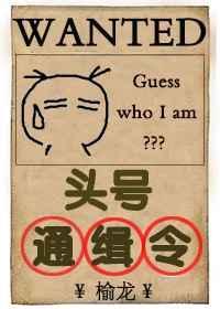 头号通缉令(无限流)by榆龙