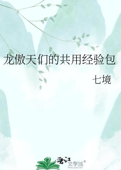 龙傲天属性