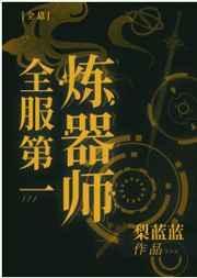 全服第一炼器师晋江