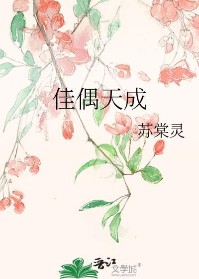 佳偶天成电视剧全集在线