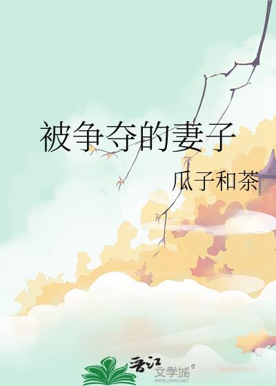 被争夺的妻子瓜子和茶