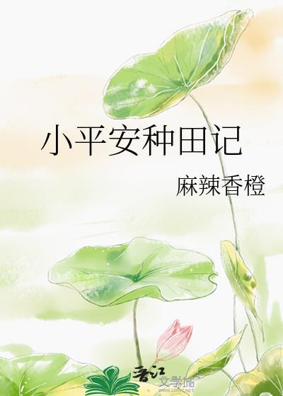 小平安种田记无错版
