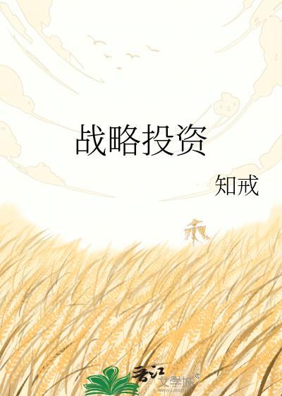 战略投资部总监