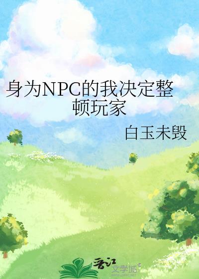 身为npc的我决定整顿玩家by白玉未毁