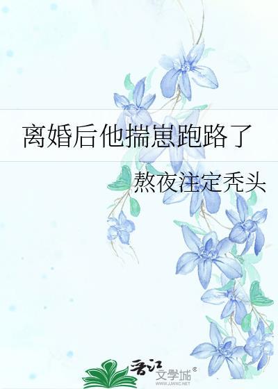 离婚后他揣崽跑路了熬夜注定秃头免费阅读
